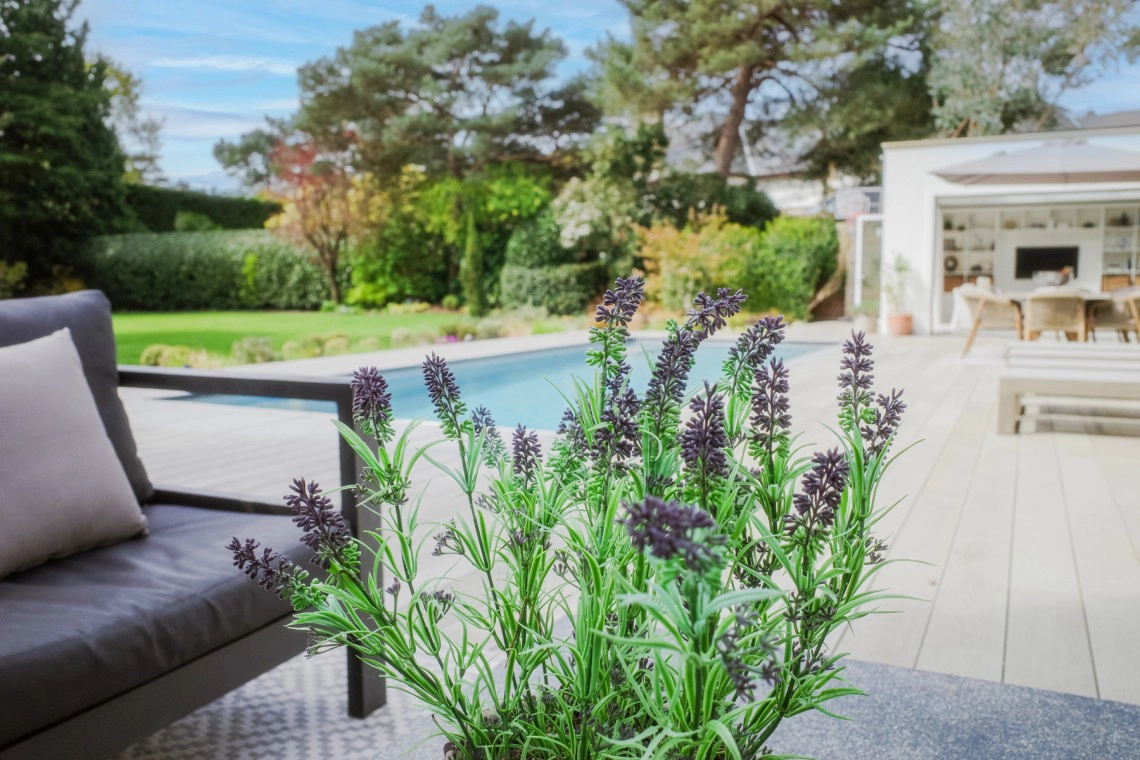Image of Oliveto, Sandbanks, Dorset